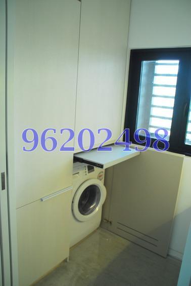 Fulcrum (D15), Condominium #167972412